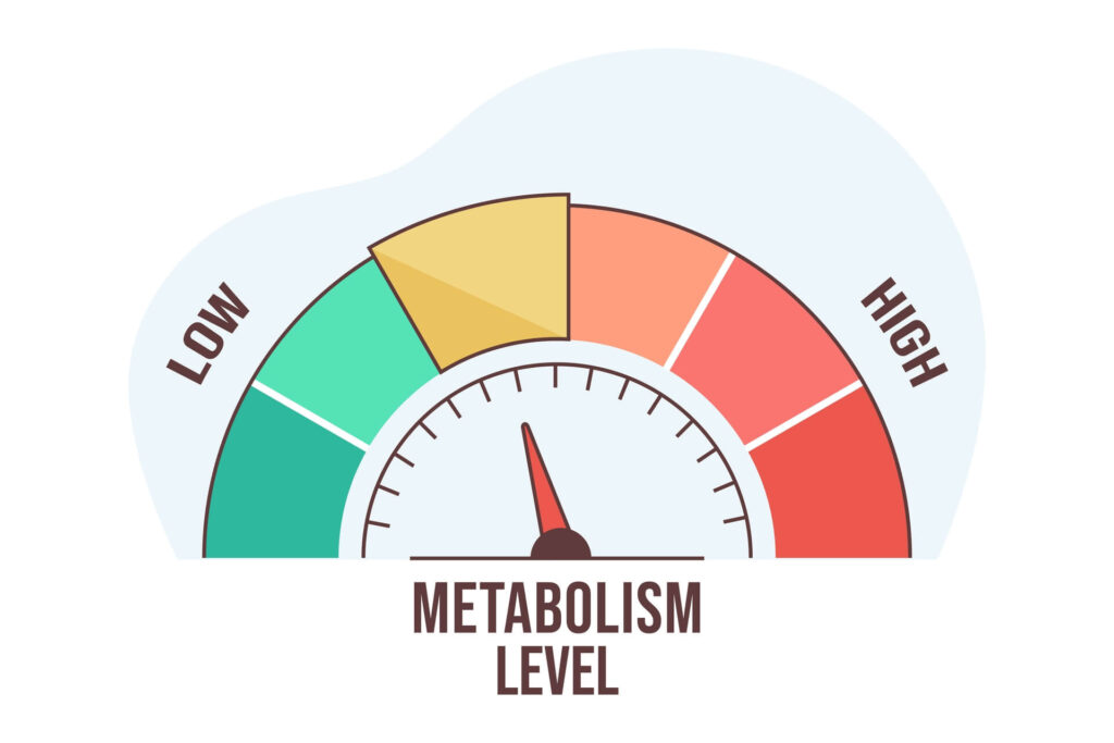 Key Findings on Weight Loss, Energy Expenditure, and Metabolic Effects